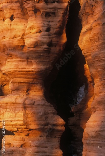 Palatinate Mottled Sandstone in evening light, Altschloss rock, Eppenbrunn, Palatinate Forest, Rhineland-Palatinate, Germany, Europe photo