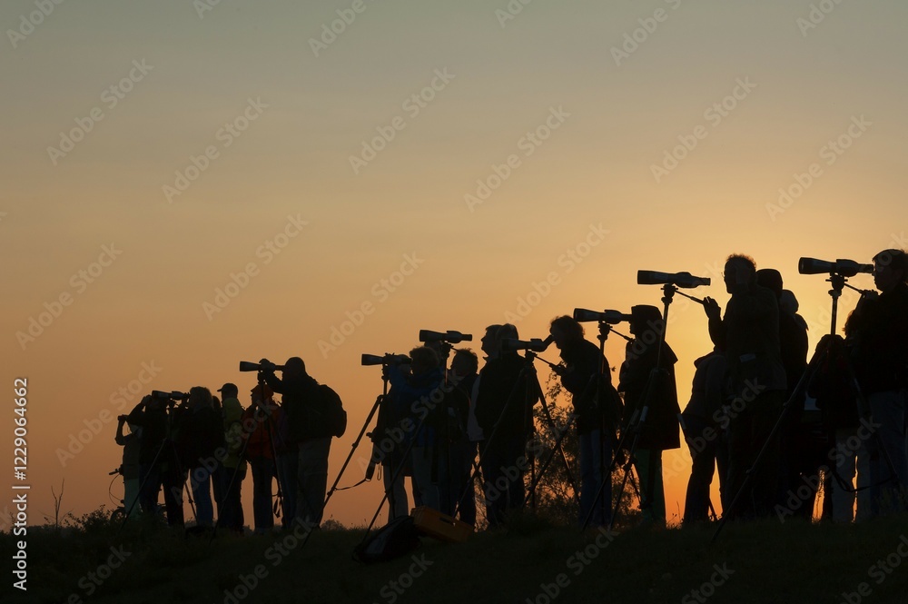 Bird watching, silhouettes of people with binoculars against the evening sky, Zingst, Darß, Mecklenburg-Western Pomerania, Germany, Europe