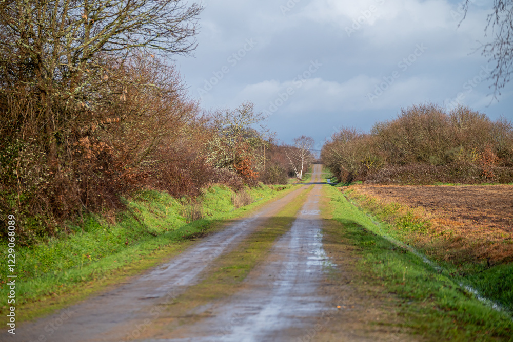 Fototapeta premium dirt road in a rural area after spring rains, background for calm concept