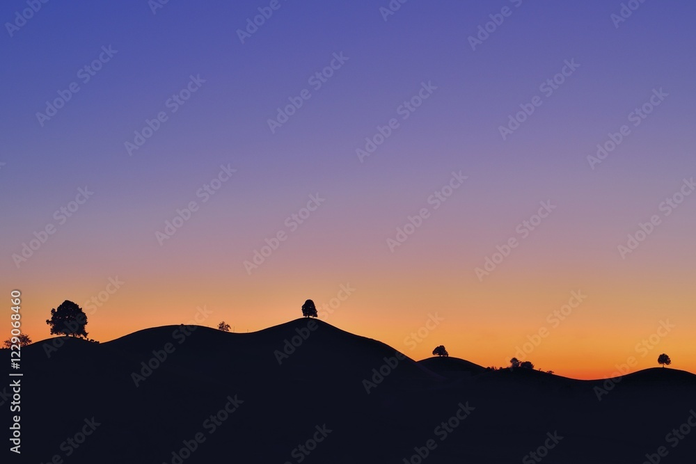 Trees on moraine hills as silhouettes at dusk, Menzingen, Canton Zug, Switzerland, Europe Trees on moraine hills as silhouettes at dusk, Menzingen, Canton Zug, Switzerland, Europe