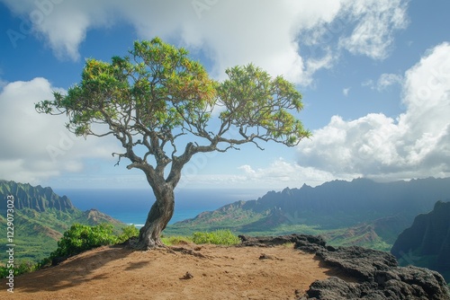 Majestic vine tree overlooks lush landscapes of Kauai under a vibrant sky, Cinematic tilt on majestic vine tree in Kauai wide, steady cam shot