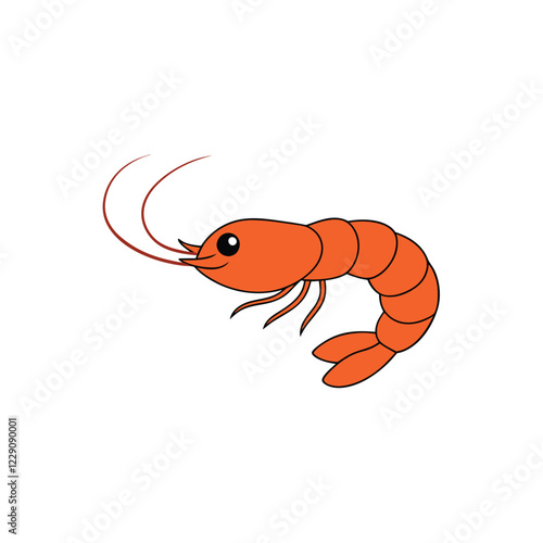 illustration of shrimp