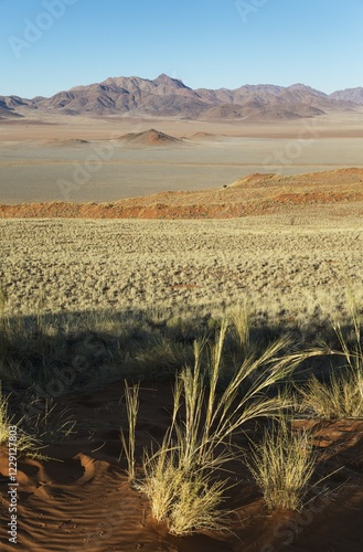 Sand dunes covered with bushman grass (Stipagrostis sp.), arid desert plains and isolated mountain ridges at the edge of the Namib Desert in the area of the exclusive Wolwedans safari camps, NamibRand Nature Reserve, Namibia, Africa photo