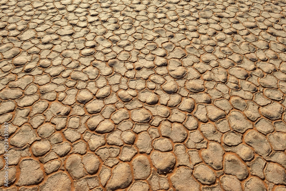 Cracked mud patterns on the playa, Tassili n'Ajjer National Park, Sahara desert, Algeria, Africa Cracked mud patterns on the playa, Tassili n'Ajjer National Park, Sahara desert, Algeria, Africa