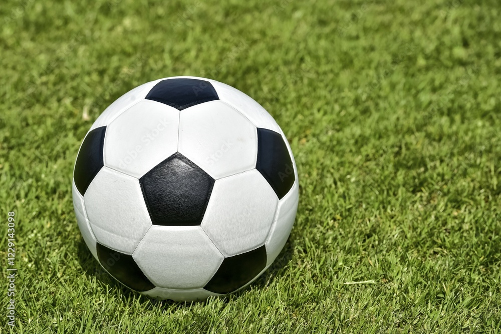 Obraz premium Black White soccer, leather ball on lawn