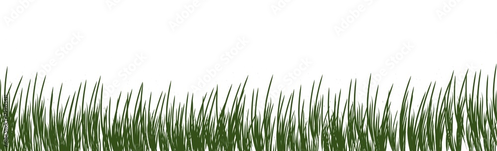 Fototapeta premium Digitally rendered grass isolated on white background