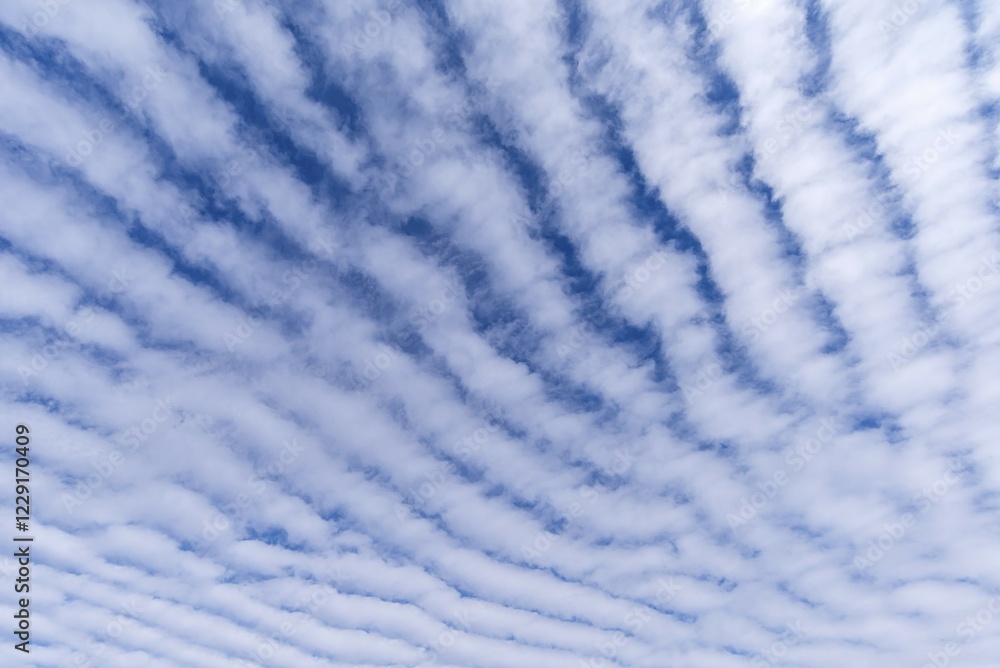 custom made wallpaper toronto digitalClouds, Altocumulus stratiformis perlucidus undulatus, Bavaria, Germany, Europe