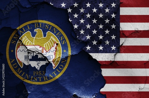 Wallpaper Mural Flags of U.S. Small Business Administration and USA painted on cracked wall Torontodigital.ca