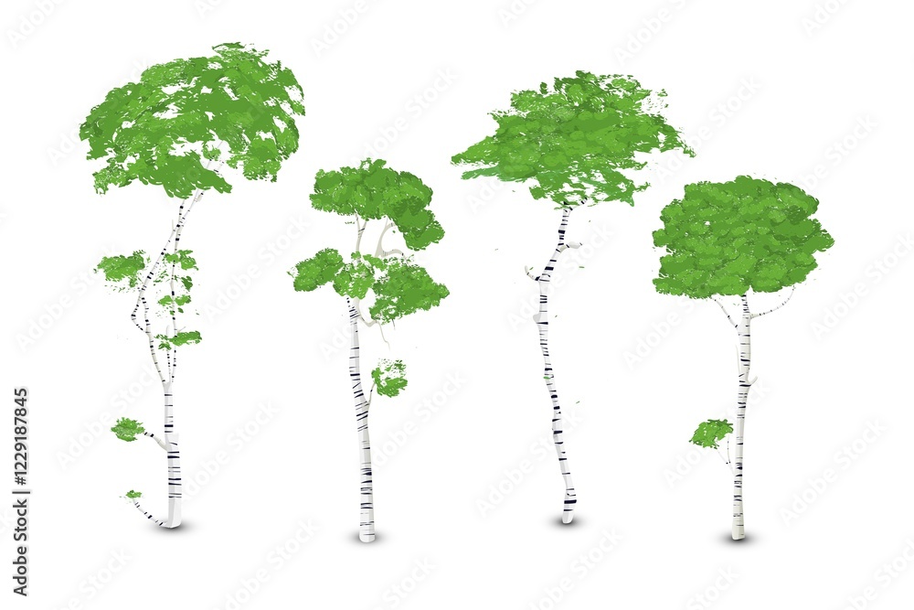 Obraz premium Birch trees set, isolated vector over white background