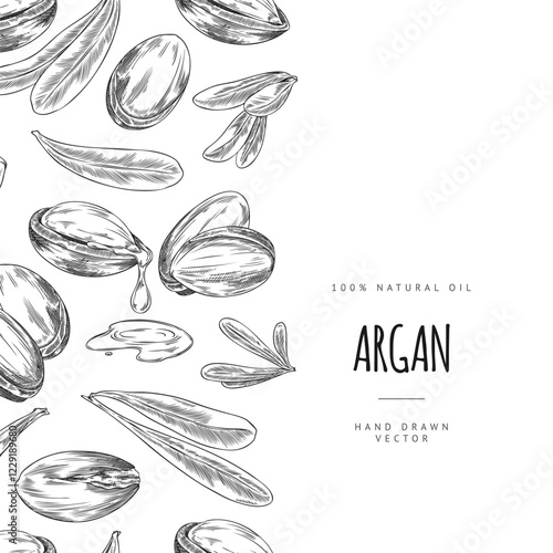 Argan leaves and nuts dripping oil engraved sketch seamless border vector design, hand drawn cosmetic and medical plant