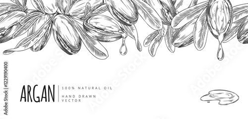 Argan leaves, nuts dripping oil engraved sketch top seamless border vector design, hand drawn cosmetic and medical plant