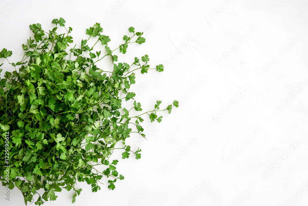 green parsley