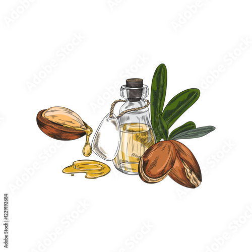 Vector watercolor illustration of bottle with oil, fruits and leaves of argan tree.