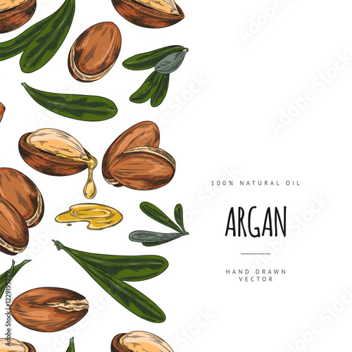 Argan leaves and nuts, dripping oil fruits sketch, seamless border vector design, hand drawn cosmetic and medical plant