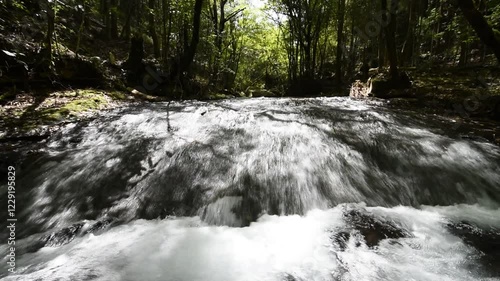森の下の滑らかな斜面を流れる川