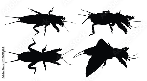 Set of silhouettes of a mole crickets.
