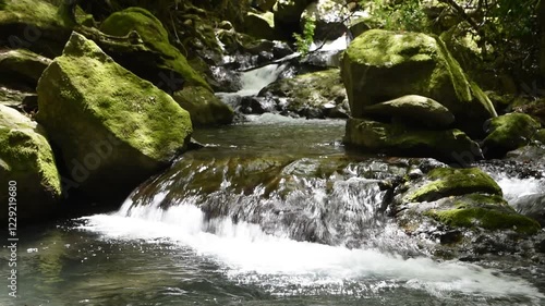 苔むした岩の間を流れる川