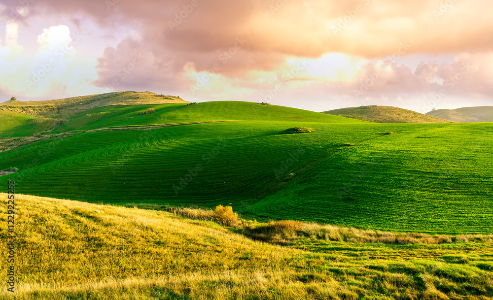 Obraz premium countryside green field during sunrise of sunset in warm light. beautiful spring landscape in the mountains. grassy field and hills. rural scenery