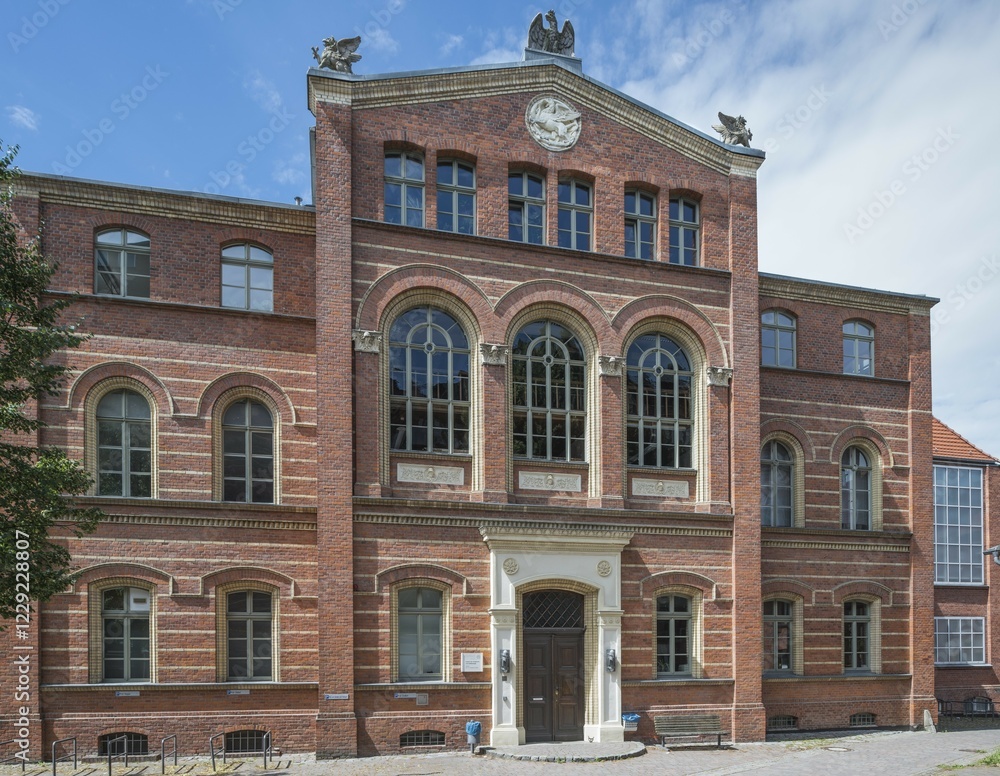 Obraz premium University of Greifswald, Institute of Anatomy and Cell Biology, 1855, neoclassical brick facade, Greifswald, Mecklenburg-Western Pomerania, Germany, Europe