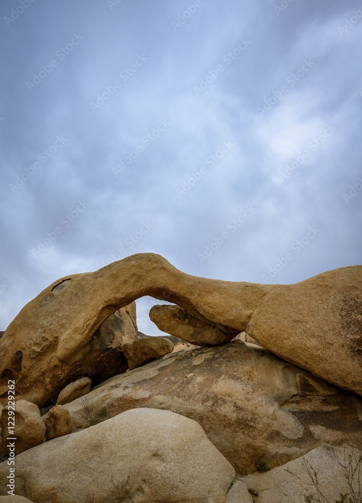 Arch Rock, Rock Arc, Monzogranite Formation, Arch Rock Nature Trail, White Tank Campground, Joshua Tree National Park, Palm Desert, California, USA, North America Arch Rock, Rock Arc, Monzogranite Formation, Arch Rock Nature Trail, White Tank Campground, Joshua Tree National Park, Palm Desert, California, USA, North America