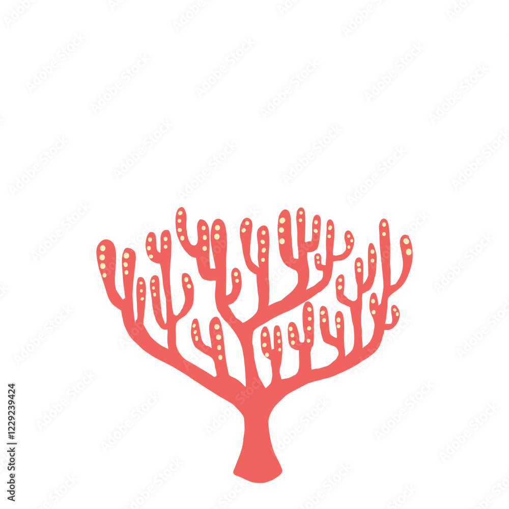 Coral Illsutration Coral Illsutration