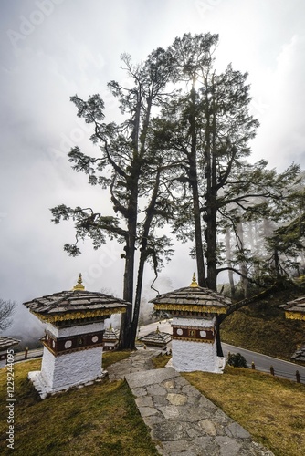 The 108 chorten or prayer shrines of Druk Wangyal at the Dochula Pass, Himalaya region, Bhutan, Asia photo