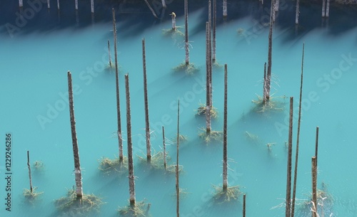 Dead trunks of Picea schrenkiana pointing out of water, Kaindy lake or Submerged Forest, Tien Shan Mountains, Kazakhstan, Asia photo