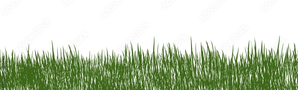 Digitally rendered grass isolated on white background Digitally rendered grass isolated on white background