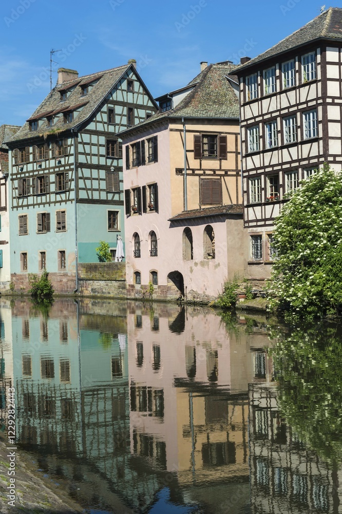 Fototapeta premium Timbered Houses reflecting in the ILL canal along the Quai de la Petite France, Strasbourg, Alsace, Bas-Rhin Department, France, Europe