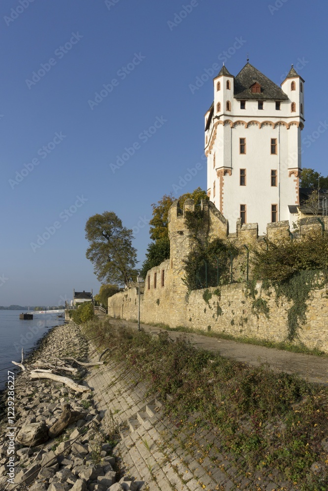 Electoral castle on the Rhine, Eltville am Rhein, Rheingau, Hesse, Germany, Europe Electoral castle on the Rhine, Eltville am Rhein, Rheingau, Hesse, Germany, Europe