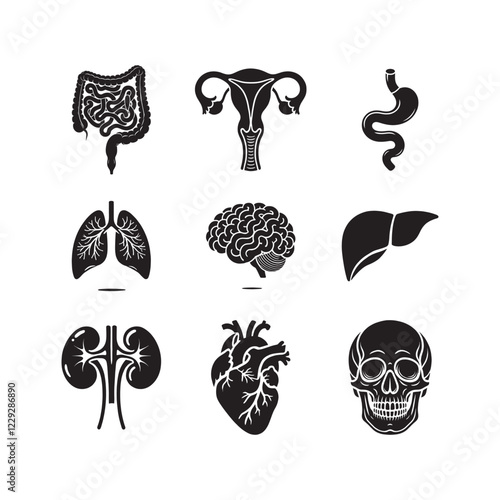 Human Organs Icons Set vector art Illustration