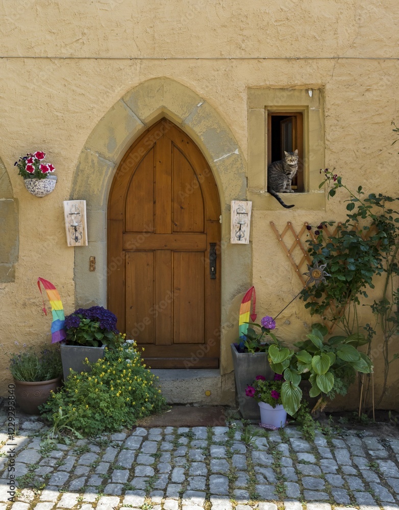 Fototapeta premium Door with cat in window, Rothenburg ob der Tauber, Germany, Europe