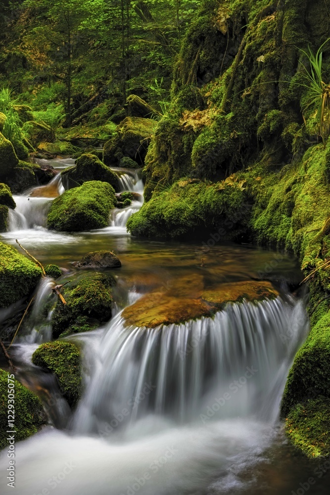 Small waterfall of the Gottschlägbach stream near Ottenhöfen in the Black Forest, Baden-Württemberg, Germany, Europe Small waterfall of the Gottschlägbach stream near Ottenhöfen in the Black Forest, Baden-Württemberg, Germany, Europe