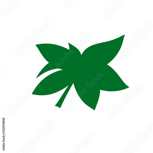 tropical leaves illustration
