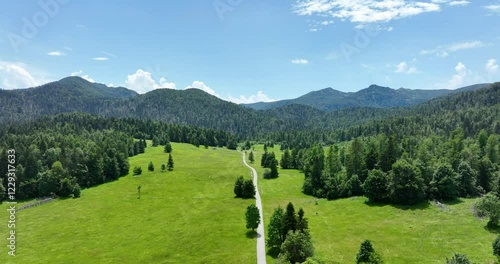 Wide aerial along country road through green hilly Croatian landscape
