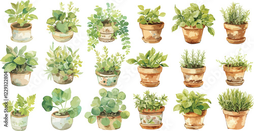 rustic herb pot watercolor clipart