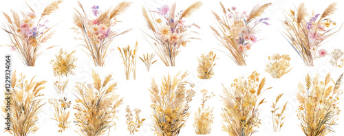 pampas grass watercolor clipart