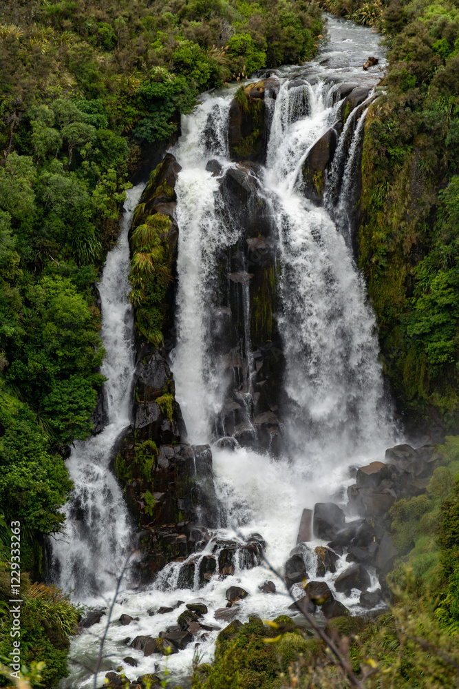Obraz premium waterfall in the forest