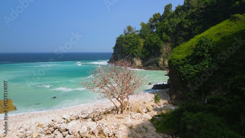 Drone view of coral hills on the edge of the sea with trees, coastal sand coral cliffs, and waves from the ocean at Sawangan Beach, Kebumen, Central Java photo