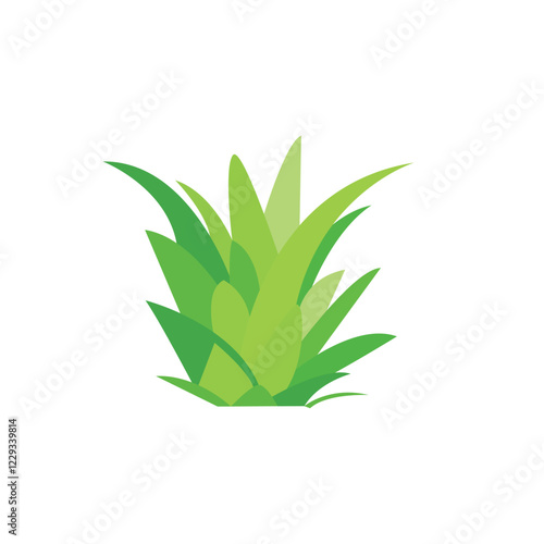plant bush cactus aloe vera vector green illustration