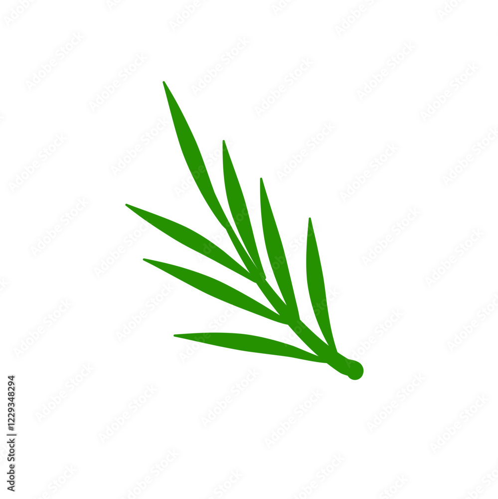 Fototapeta premium Phoenix palm leaf 