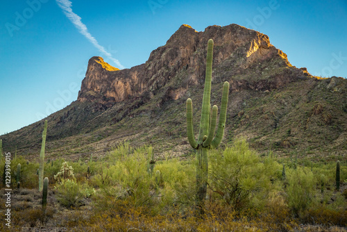 Obraz na płótnie Majestic Picacho Peak at Dusk with Saguaro Cactus w salonie