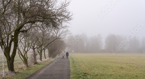 Landschaftsfotografie, Nebel im Januar, Berlin Lübars, Deutschland photo