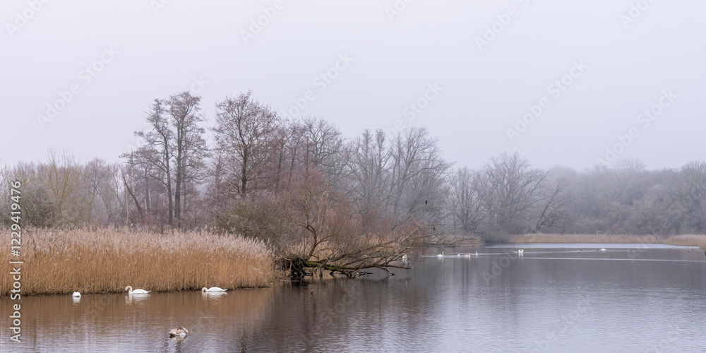 Landschaftsfotografie, Nebel im Januar, Berlin Lübars, Deutschland
