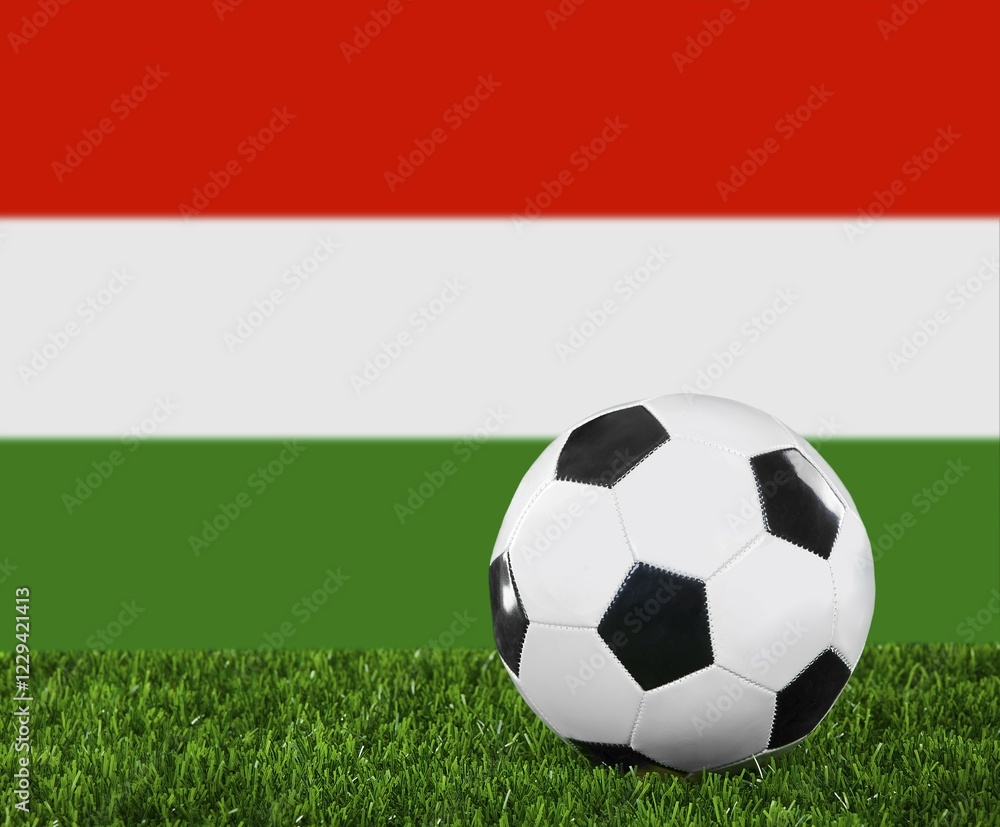 The Hungarian flag and soccer ball on the green grass The Hungarian flag and soccer ball on the green grass
