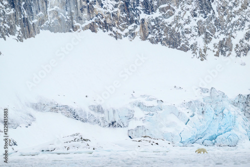 Wallpaper Mural Polar bear walking in front of glacier, Svalbard Torontodigital.ca