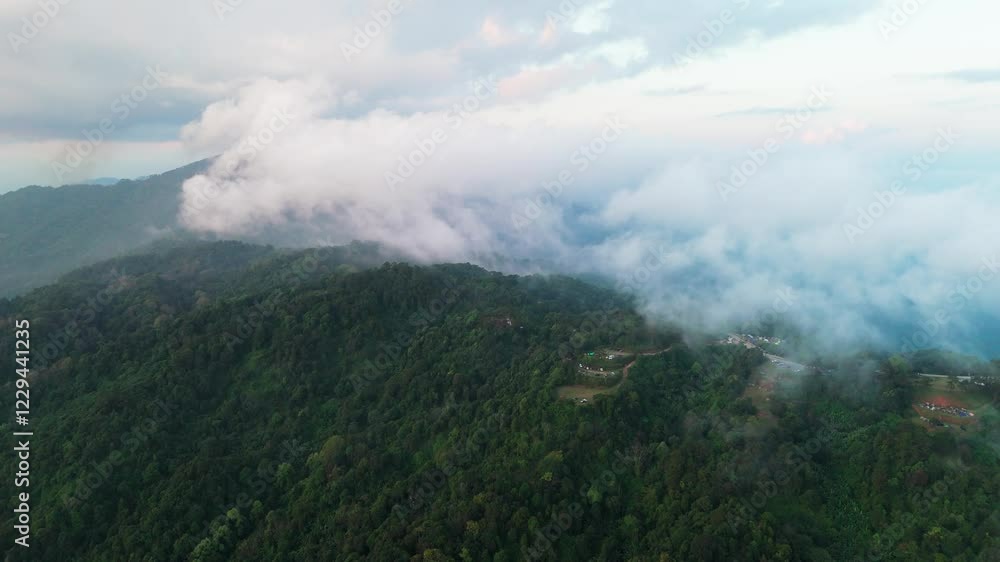 Aerial panoramic view of national park mountains and dense forested valleys, serene scenery Aerial panoramic view of national park mountains and dense forested valleys, serene scenery