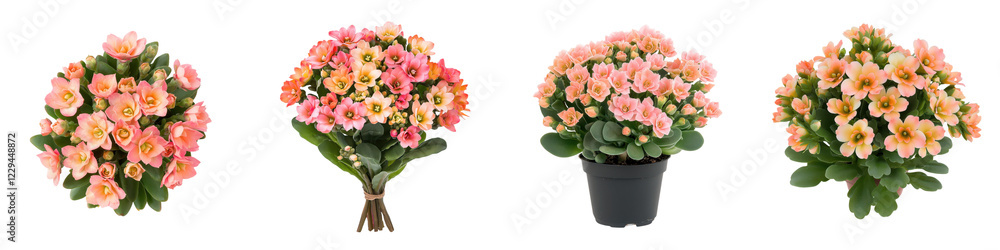 Fototapeta premium Vibrant bouquets of colorful floral arrangements in vases showcasing a variety of blooming flowers such as roses daisies and carnations in shades of pink yellow and white