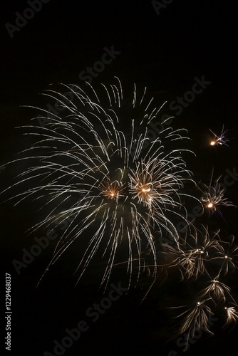 Fireworks in the night sky, Quebec, Canada, North America photo