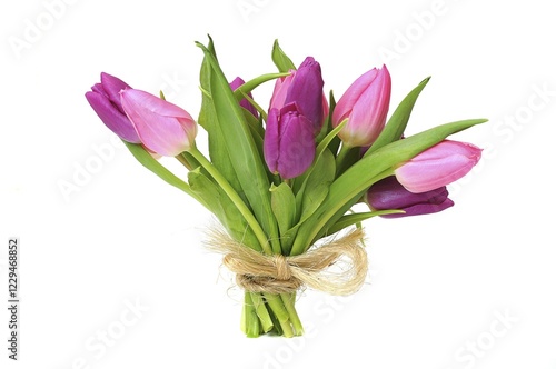 Bouquet of Tulips (Tulipa) photo